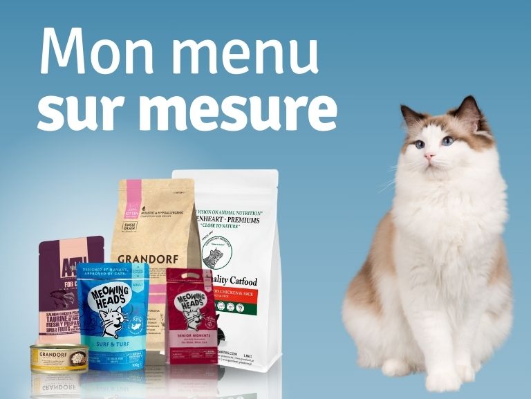 menu sur mesure chien